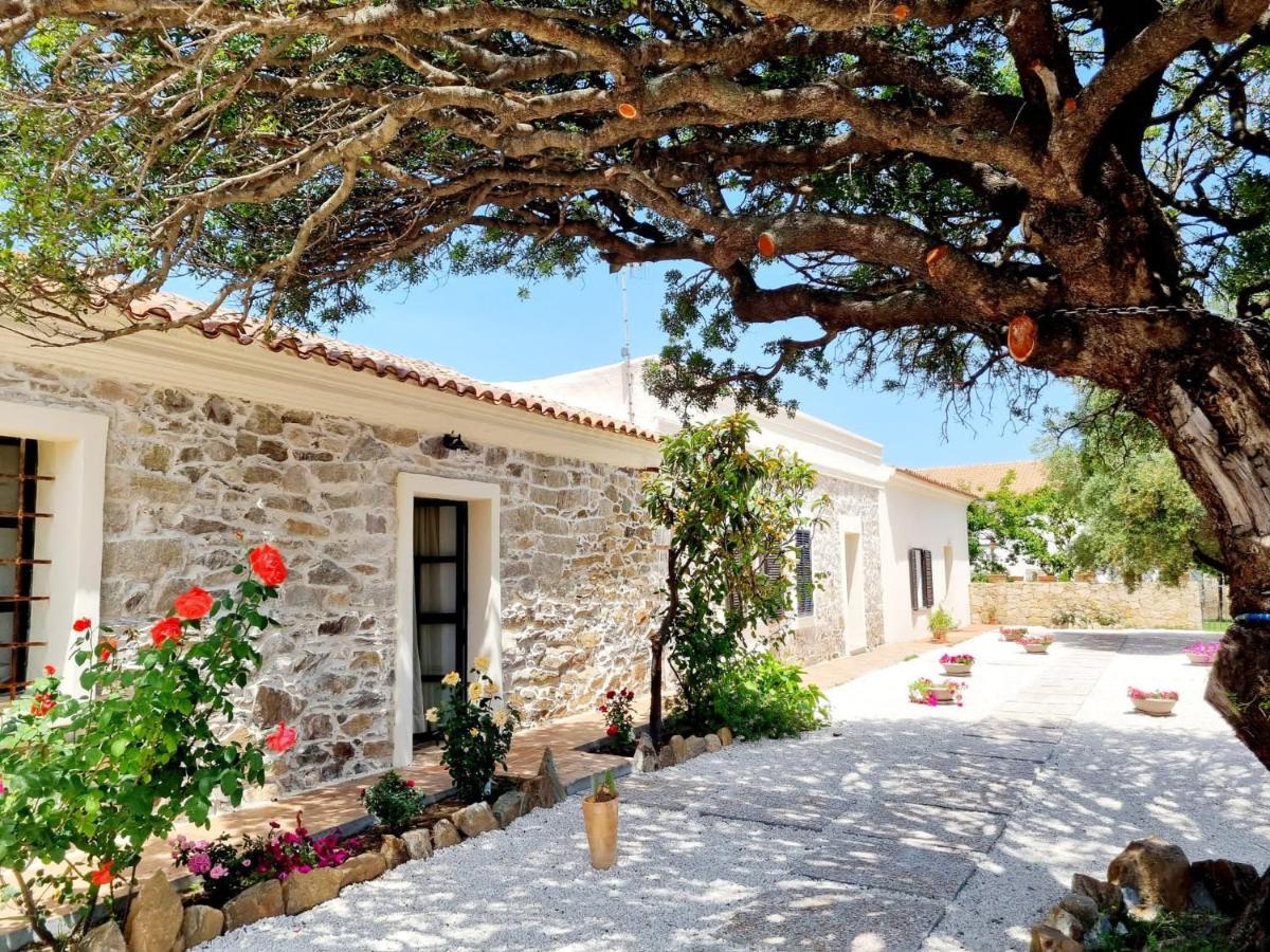 Stazzo San Teodoro La Quercia Piscina Condivisa Apartment Exterior foto